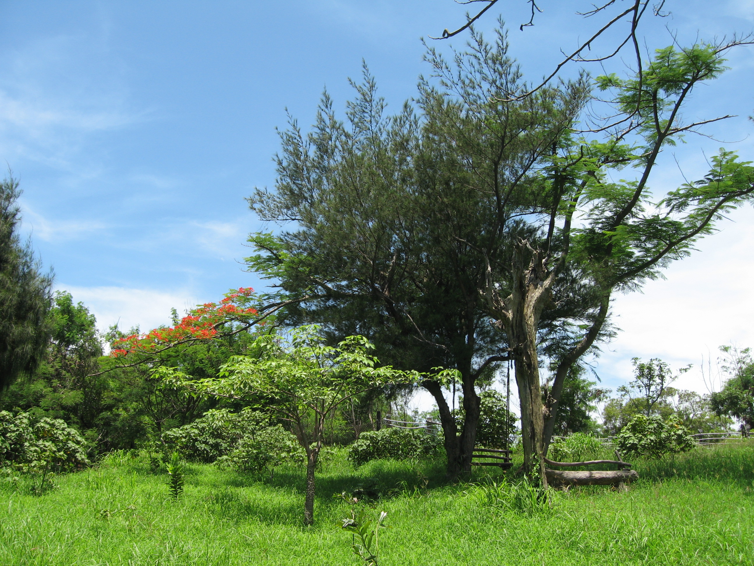 nazev pozice mecawel